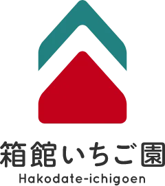 【滋賀県高島市】箱館いちご園｜みおしずく・よつぼしを栽培